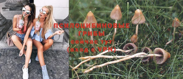 синтетический гашиш Алексеевка